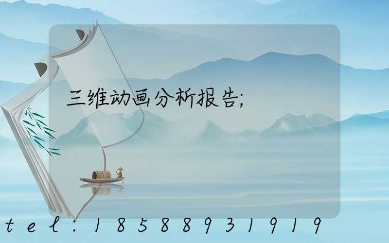 三维动画分析报告