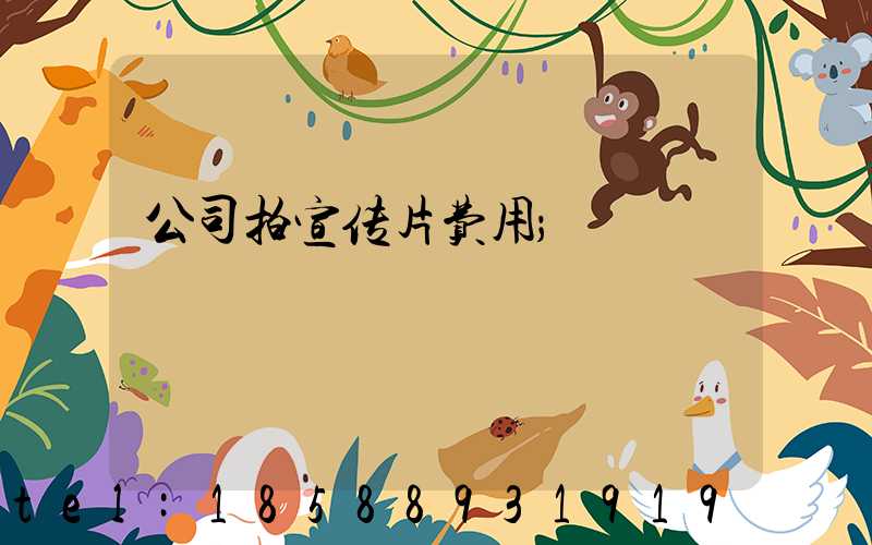 公司拍宣传片费用