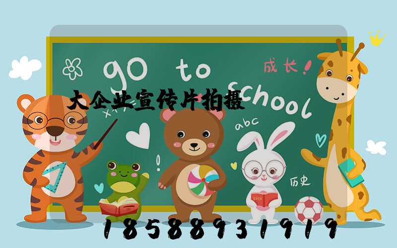 大企业宣传片拍摄