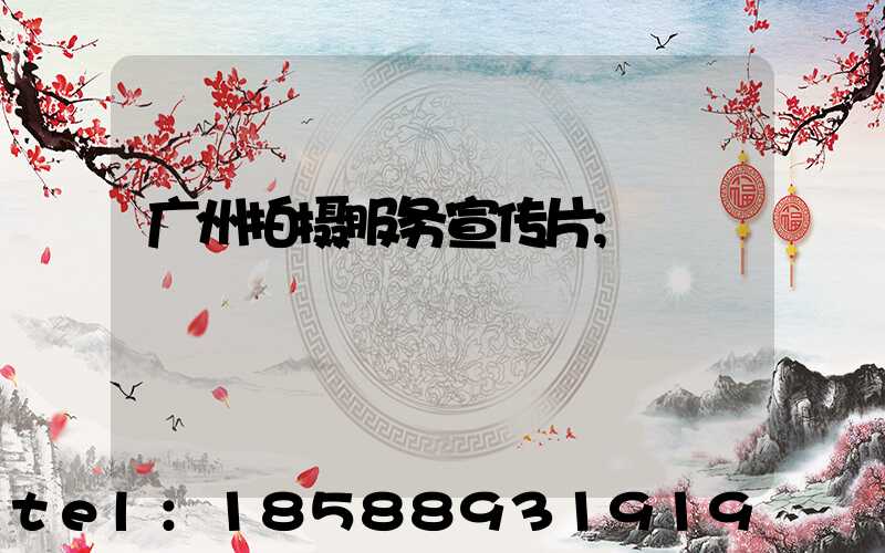 广州拍摄服务宣传片