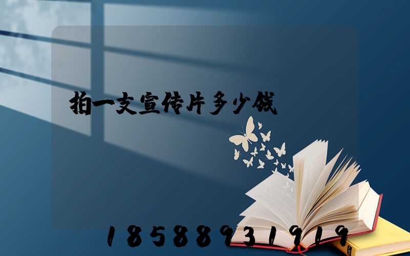拍一支宣传片多少钱