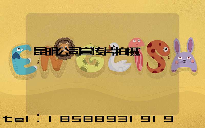 昆明公司宣传片拍摄