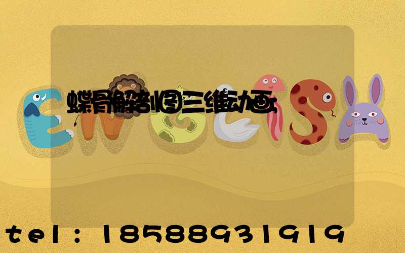 蝶骨解剖图三维动画